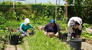 Edremit Belediyesi Ata Tohumlarını Geleceğe Miras Bırakıyor