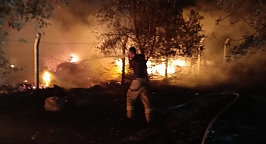 Edremit'te Köpek Çiftliği Yangını Korkuttu: Balıkesir İtfaiyesi Alevlere Geçit Vermedi