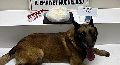 Edremit’te Narkotik Operasyonu: Dedektör Köpek ‘Cash’ Metamfetaminin İzini Sürdü