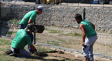 Edremit’te Yeşil Dönüşüm: Oruçoğlu Parkı Rulo Çimle Yenileniyor