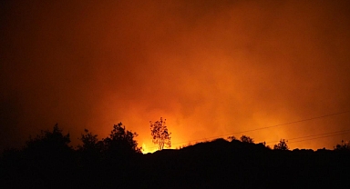 Eskişehir Seyitgazi’de Orman Yangını Faciası: Kahraman Orman İşçileri Şehit Oldu