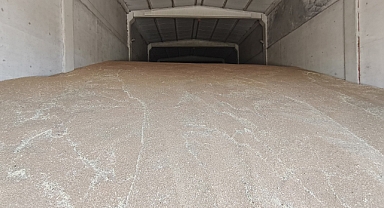 Hububat Hasadı Başladı: Susurluk Ticaret Borsası’nda TMO Alım Noktasında Üreticilerle Değerlendirme Yapıldı