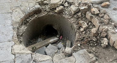 İvrindi’de Minik Can Seferberliği