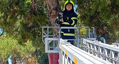 Savaştepe Millet Bahçesi’nde Ağaçta Mahsur Kalan Yavru Kedi İtfaiye Tarafından Kurtarıldı