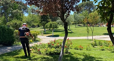 Susurluk’ta Yeşil Alan ve Temizlik Çalışmaları Aralıksız Sürüyor