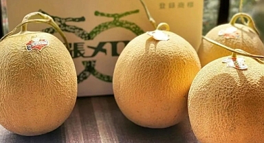 Tanesi 5 Bin Lirayı Aşıyor! Japon Crown Kavunu New York’ta Kapış Kapış Satılıyor