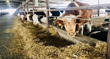 Üretimin Gücü: Balıkesir Zirveye Koşuyor!