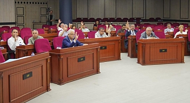 Ayvalık Belediye Başkanı Mesut Ergin, İda Madra Jeoparkı Çalışmalarını Mecliste Değerlendirdi