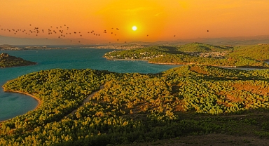 Ayvalık’ta Şeytan Sofrası: Masmavi Deniz ve Yemyeşil Ormanların Buluşma Noktası