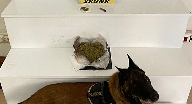 Balıkesir’de Uyuşturucu Operasyonu: 485 Gram Skunk Maddesi Ele Geçirildi