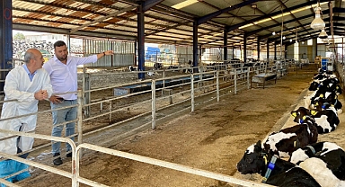 Balıkesir İl Tarım ve Orman Müdürü Dr. Hüseyin Düzgün, Karesi’de Büyükbaş Hayvan İşletmesini Ziyaret Etti