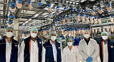 Balıkesir, Kanatlı Eti Üretiminde Türkiye’nin Öncüleri Arasında