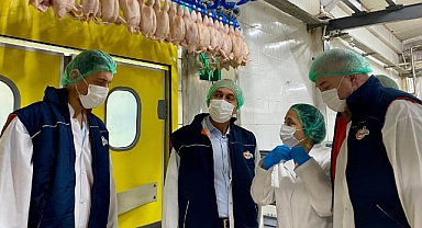 Balıkesir, Kanatlı Hayvan Üretiminde Türkiye 2.’si: Bandırma Tesislerinde İnceleme Yapıldı