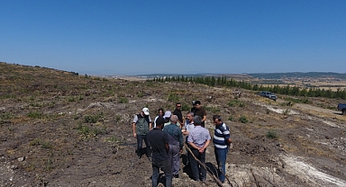 Balıkesir Orman Bölge Müdürlüğü, Yangınla Zarar Gören Sahaları Yeniden Yeşertiyor