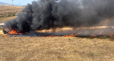 Bandırma Sahilyenice Yolunda Araç ve Arazi Yangını 