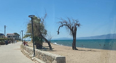 Burhaniye Belediyesi Sahillerde Denetimleri Sıklaştırdı: İzinsiz Şezlong ve Şemsiyelere Müdahale