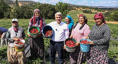 Canbey, İvrindi'de Çilek Tarlasında Çiftçilerle Buluştu