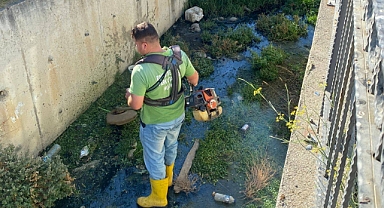 Edremit’te Ağlı Dere’de Temizlik Çalışmaları Sürüyor