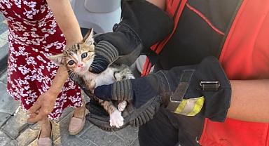 Edremit’te Araç Motoruna Sıkışan Kedi İtfaiye Tarafından Kurtarıldı