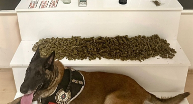 Edremit'te Narkotik Operasyonu: Kilolarca Uyuşturucu Ele Geçirildi