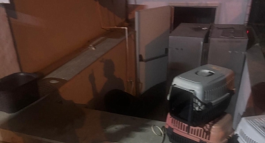 Edremit’te Özel Hayvan Hastanesinde Yangın: İtfaiye Kedileri Kurtardı