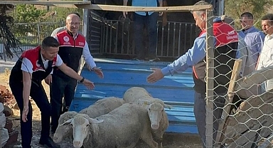 Gölcük ve Kınık Mahallelerinde Hayvan Kaybı Telafi Ediliyor