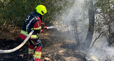 İvrindi Büyük Yenice’de Arazi Yangını Paniğe Yol Açtı