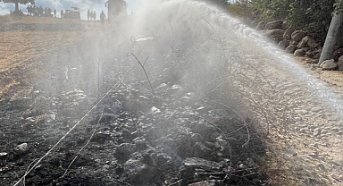 İvrindi Okçular Mahallesi'nde Arazi Yangını Korkuttu