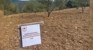 Kepsut’ta Badem Üreticilerine Rehber Olacak Don Önleme Projesi