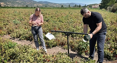 Kepsut’ta Tarım Alanlarında Zararlı Popülasyon Takibi Sürüyor