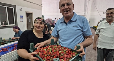 Milletvekili İsmail Ok’tan İvrindi’de Çilek Üretimine Destek Ziyareti