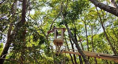 Susurluk Belediyesi, Çaylak Mesire Alanı’ndaki Fırtına Zararlarını Gideriyor