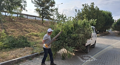 Susurluk’ta Fırtınanın Ardından Temizlik ve Düzenleme Çalışmaları Sürüyor