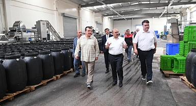 Vali Ustaoğlu Havran’da Tarımsal Üretimi Yerinde İnceledi: Zeytinden Organik Ürünlere Kapsamlı Ziyaret