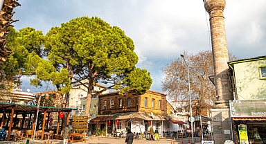 Zeytinli Mahallesi: Edremit’in Huzur Dolu Doğal Cenneti