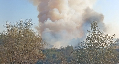 Altıeylül’de Ormanlık Alanda Çıkan Yangın Kontrol Altına Alındı