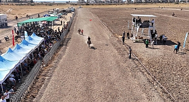 Ayvalık’ta Rahvan At Yarışları Coşkusu: 156 Atla Türkiye Rekoru Kırıldı