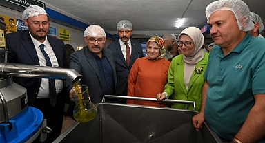 Ayvalık’ta Yılın İlk Zeytinyağı Sıkıldı