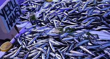 Balıkesir’de Balık Sezonu Bandırma’da İlk Mezatla Açıldı