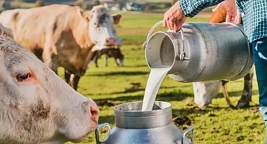 Balıkesir’de Çiğ Süt Üreticilerine 108 Milyon TL Destek