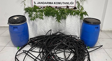 Balıkesir’de Jandarmadan Narkotik Operasyonları: 20 Şüpheli Yakalandı