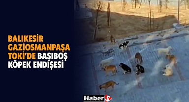 Balıkesir Gaziosmanpaşa TOKİ’de Başıboş Köpek Endişesi