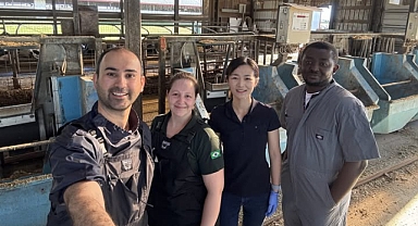 Balıkesir Üniversitesi Akademisyeni ABD’de Sıcaklık Stresine Karşı Süt İnekleri Üzerine Uluslararası Araştırma Yürütüyor