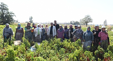 Başkan Hakan Şehirli’den Köseler Mahallesi’nde Çiftçilere Ziyaret