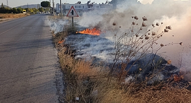 Burhaniye’de Yol Kenarında Ot Yangını!