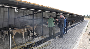 Edremit'te Sokak Hayvanları İçin Yeni Hizmet: Bakım ve Rehabilitasyon Merkezi İncelendi