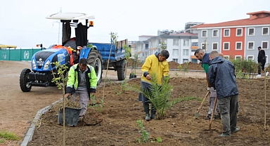 Edremit’te Yeni Yaşam Alanları: Başkan Ertaş Çevre Düzenlemelerini Yerinde İnceledi