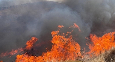 Erdek Karşıyaka Mahallesi’nde Arazi Yangını