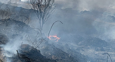 Manyas Kuşcenneti Yakınlarında Çıkan Yangın Kısa Sürede Söndürüldü