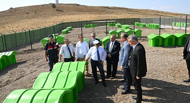 Sokak Hayvanlarına Özel Ziyaret: Vali Ustaoğlu Sahada